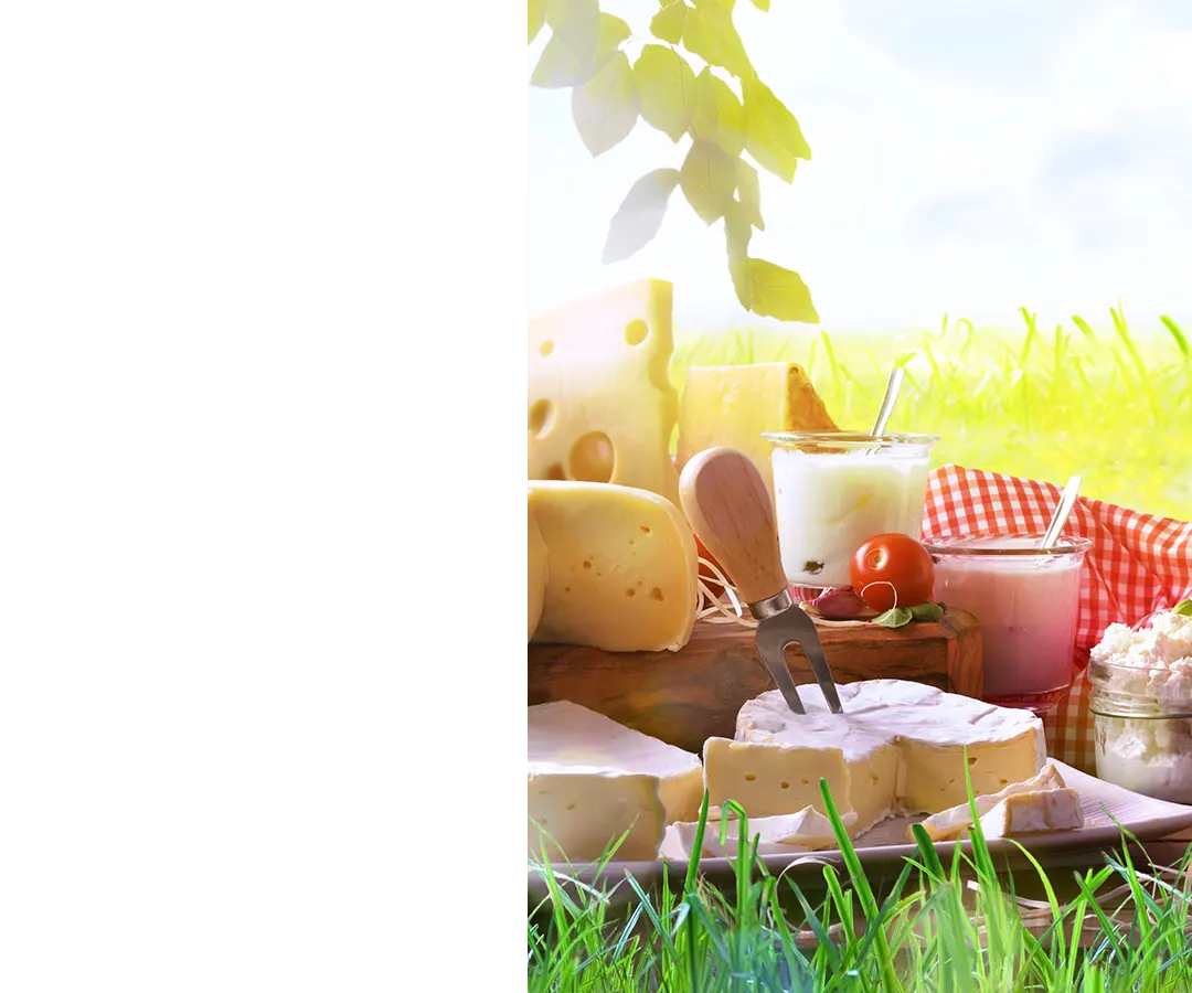 La richesse gastronomique comme pilier de l-identite locale